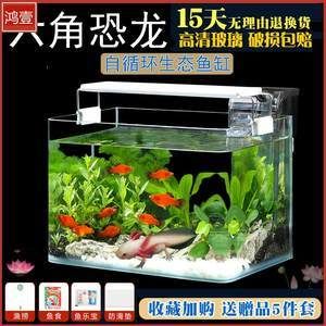 飼養龍魚用多大的缸比較好：飼養龍魚用多大的魚缸比較好