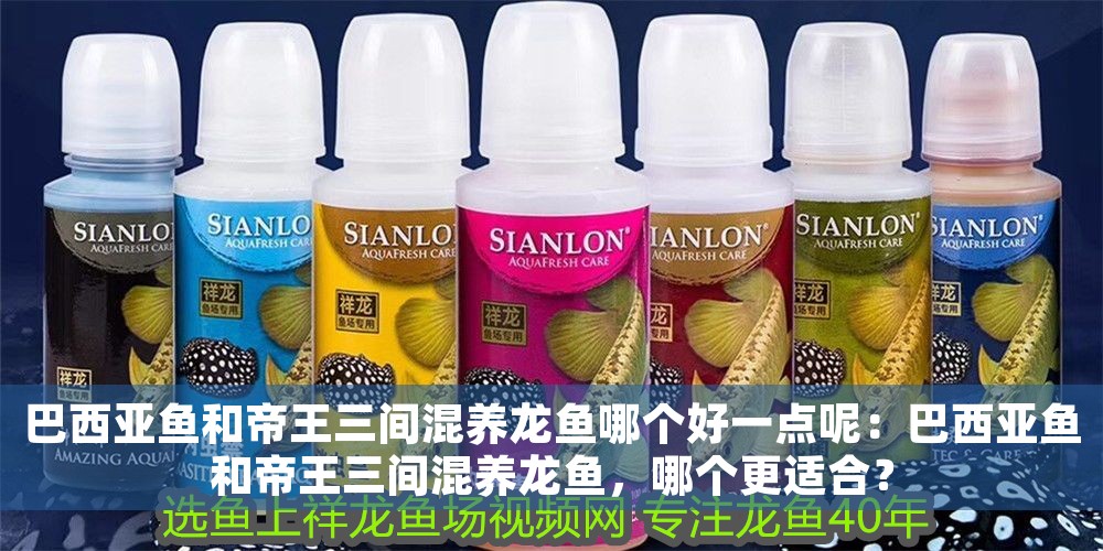 巴西亞魚和帝王三間混養龍魚哪個好一點呢：巴西亞魚和帝王三間混養龍魚，哪個更適合？