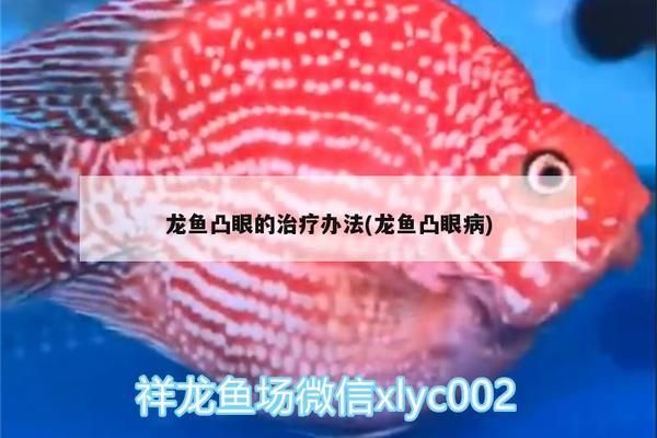 龍魚(yú)眼上長(zhǎng)白膜用什么藥治好：龍魚(yú)水質(zhì)改善的具體措施