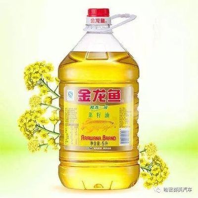 如何進(jìn)口金龍魚(yú)（廣州千杰水產(chǎn)技術(shù)有限公司在海關(guān)的幫助下完成金龍魚(yú)的進(jìn)口流程）