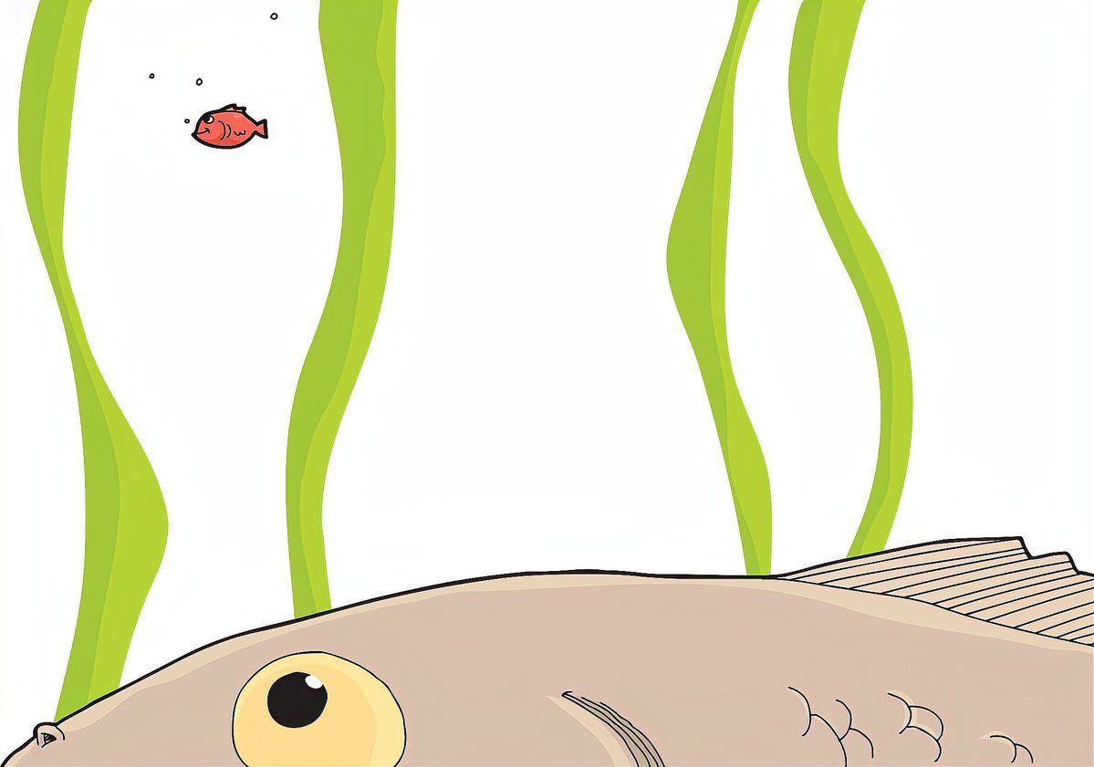 金魚最愛吃的10個水果