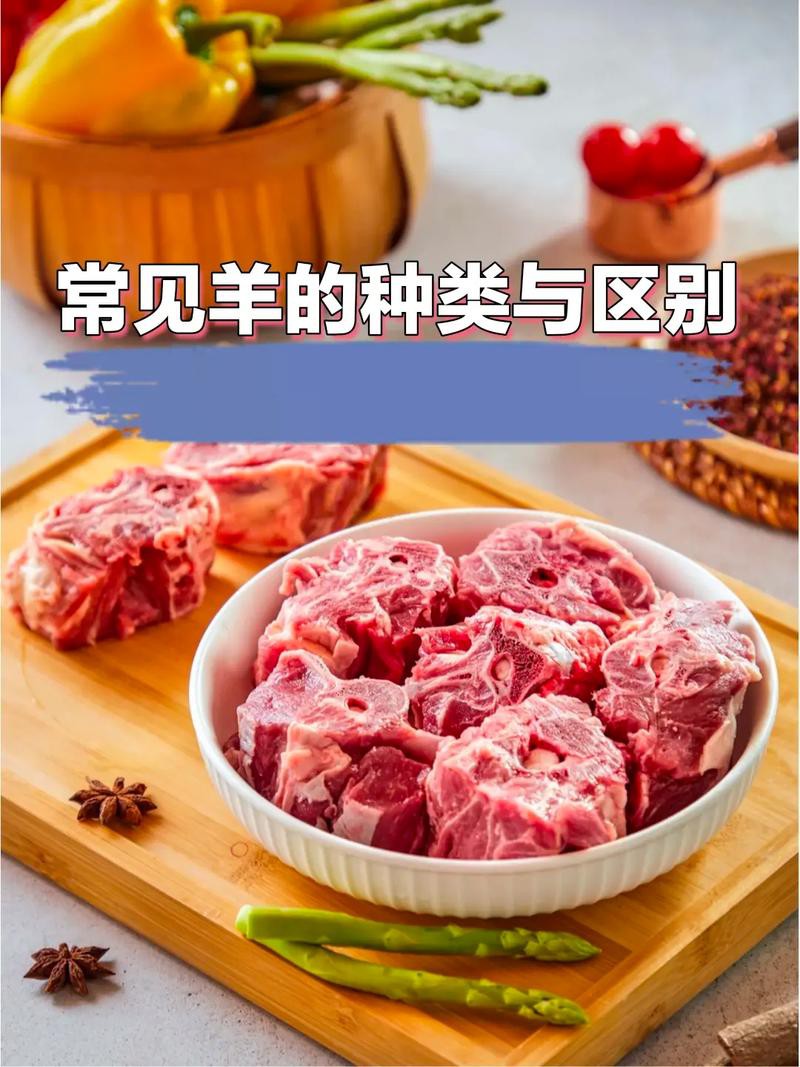 改良雜交血統(tǒng)中哪些品種最受歡迎？