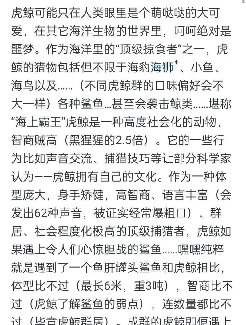 鯨魚為什么不傷害人類