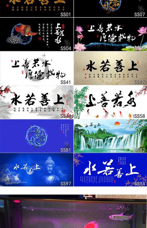 紅龍魚魚缸背景圖片大全集欣賞 紅龍魚魚缸背景圖片大全集欣賞 龍魚百科 第20張