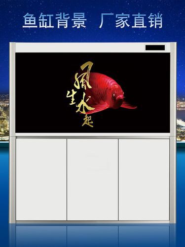 紅龍魚魚缸背景圖片大全集欣賞 紅龍魚魚缸背景圖片大全集欣賞 龍魚百科 第15張