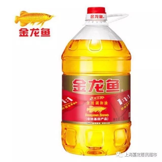 金龍魚訓食（金龍魚的飲食調整）