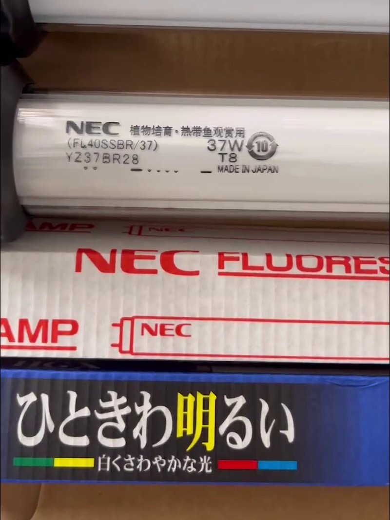 有哪些適合拍攝龍魚的離機閃光燈推薦？