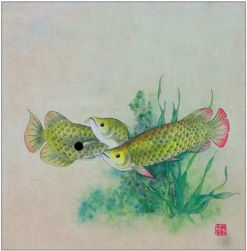 金龍魚繪畫圖片大全大圖