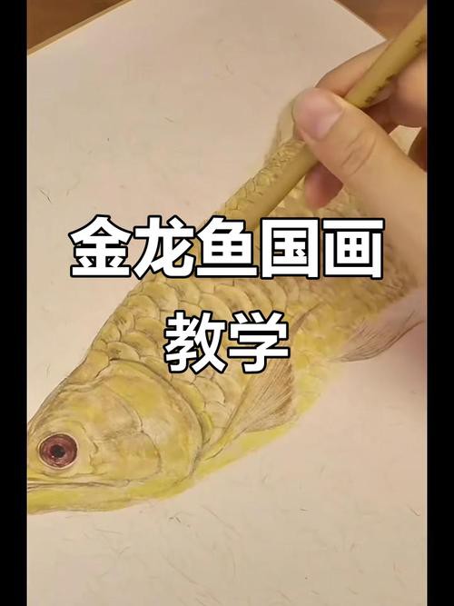 金龍魚繪畫圖片大全大圖