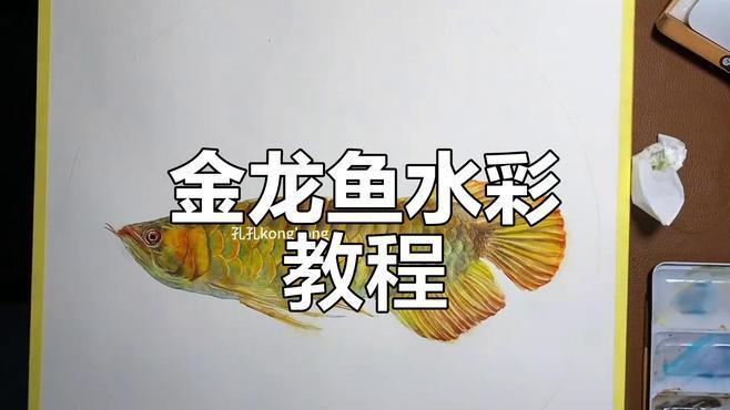 金龍魚繪畫圖片大全大圖