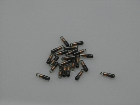 龍魚的芯片在哪里：關于龍魚芯片的詳細解釋