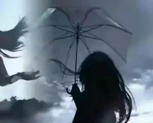 金魚店100米以內