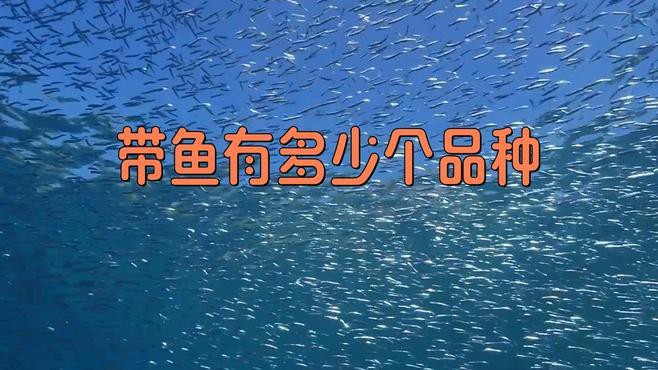 龍魚浮頭什么顏色最貴