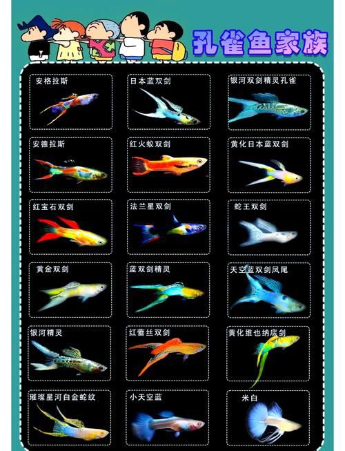 孔雀魚品種大全圖
