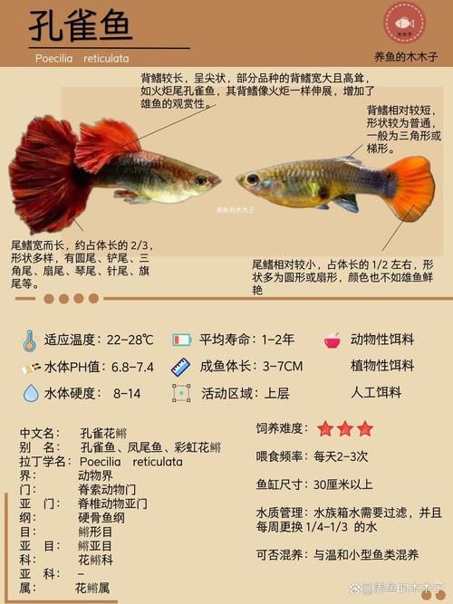 孔雀魚品種大全圖