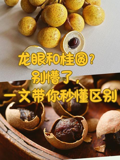 白霧處理后的龍眼能放多久？