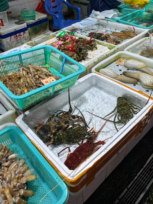 樂山龍魚專賣店