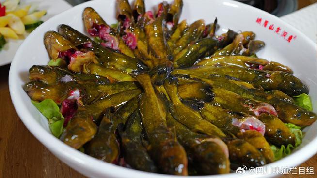 樂山龍魚專賣店