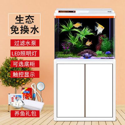 最好紅龍魚：\"最好的紅龍魚\"飼養(yǎng)技巧