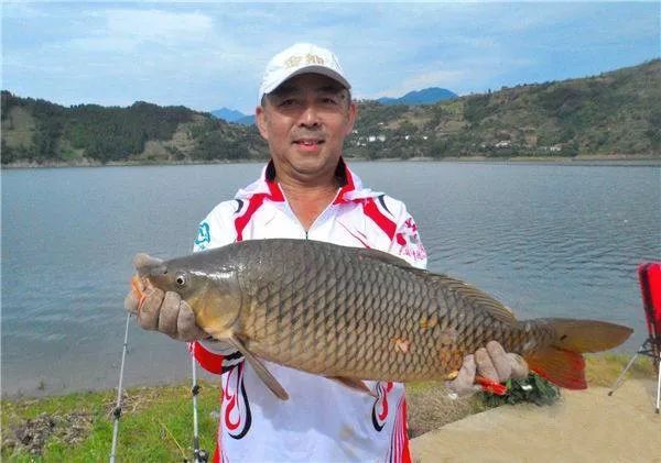 七紋巨鯉魚最佳飼養水溫：七紋巨鯉魚的最佳飼養水溫