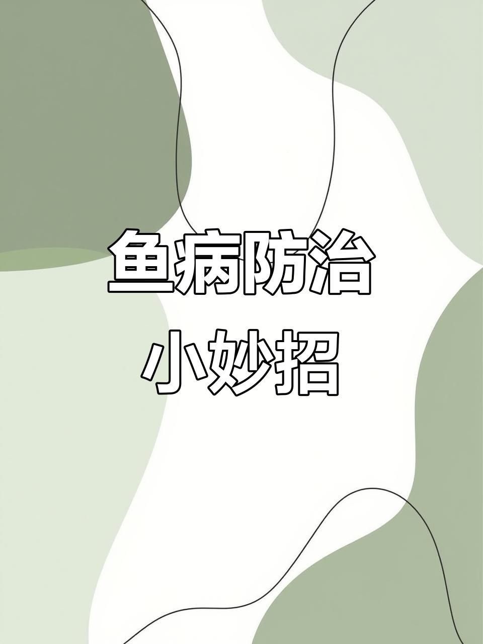 哪些食物有助于預防龍魚爛鰓？