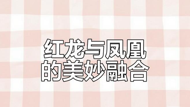 紅龍魚和元寶鳳凰混養好嗎圖片欣賞