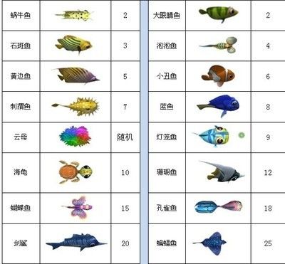 賽級七彩神龍魚多少錢：賽級七彩神龍魚多少錢賽級七彩神龍魚多少錢