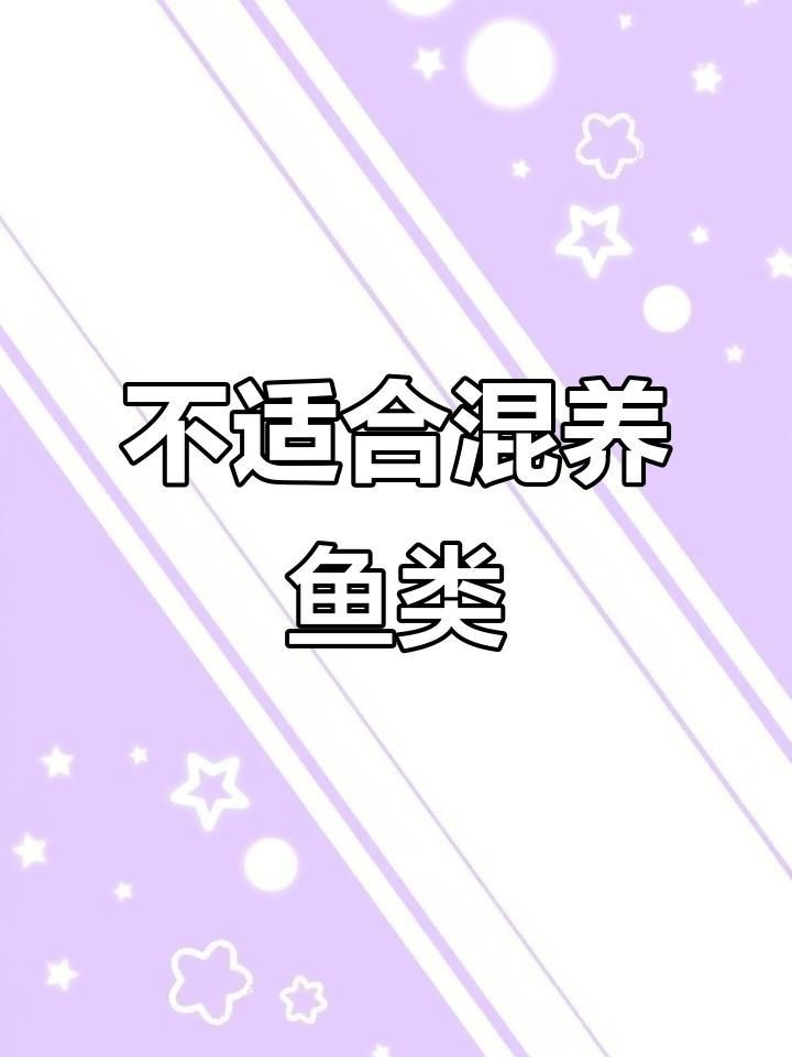 哪些魚(yú)不能混在一起養(yǎng)