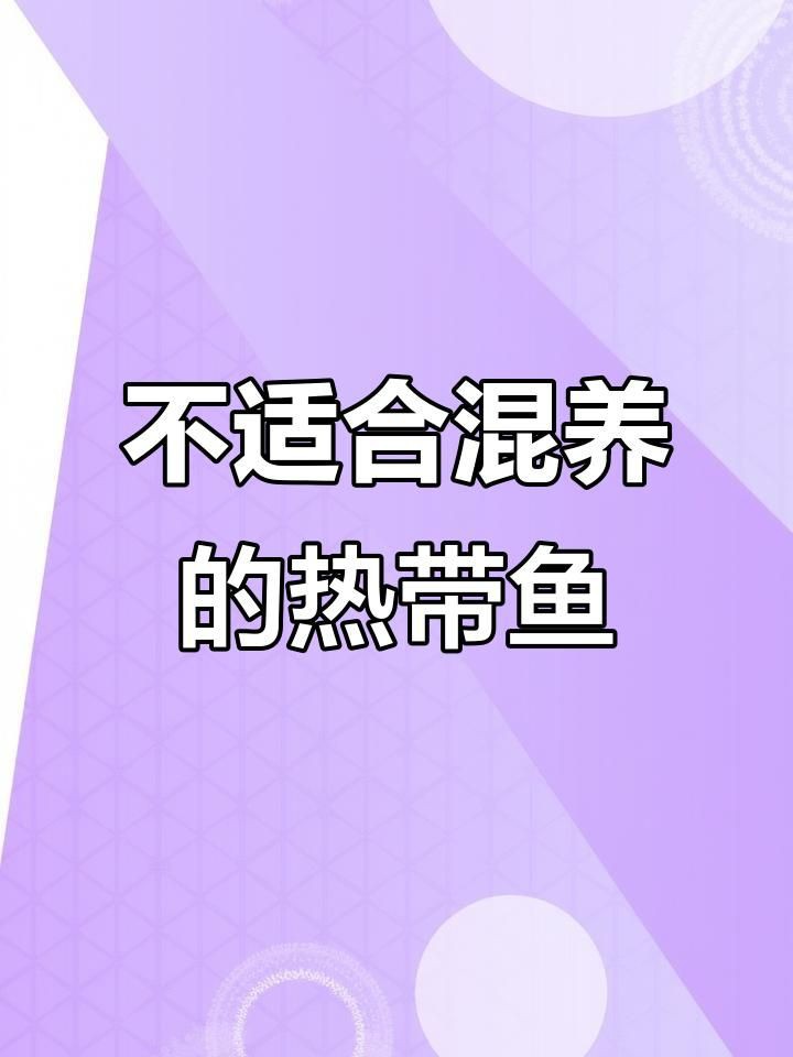 哪些魚(yú)不能混在一起養(yǎng)