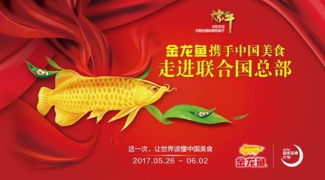 金龍魚的品牌故事有哪些人物形象（金龍魚品牌故事中的人物形象）