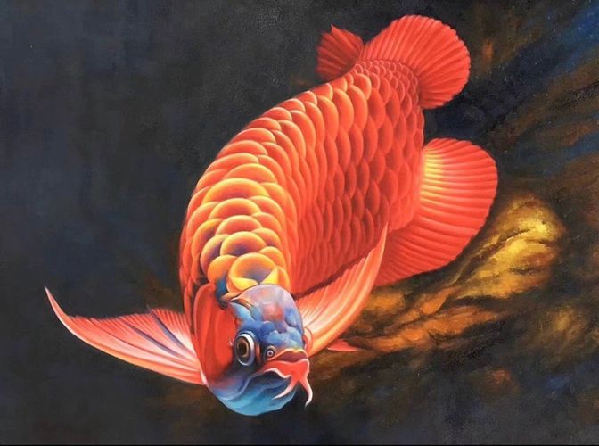龍魚風水故事：龍魚在風水中的作用和寓意豐富