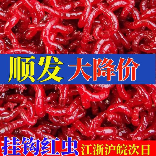 淡水海龍魚能吃紅蟲嗎圖片大全
