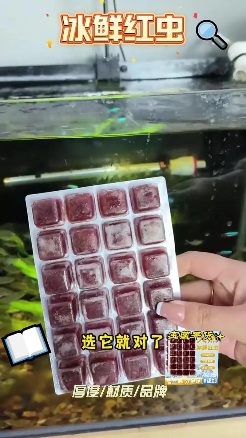 淡水海龍魚能吃紅蟲嗎圖片大全