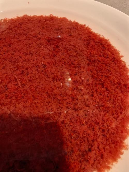 淡水海龍魚能吃紅蟲嗎圖片大全