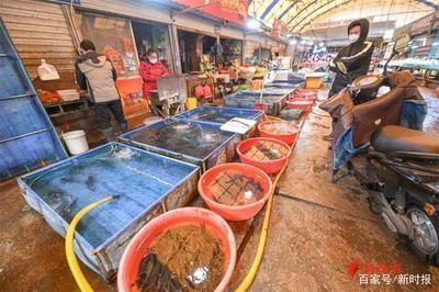 濟南哪里有賣龍魚的市場地址（濟南水族市場價格對比龍魚養殖技巧分享濟南水族市場營業時間）