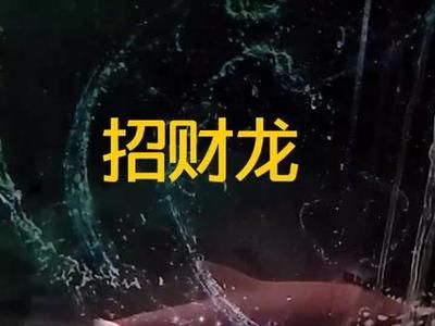龍魚配什么中層魚：虎魚與其他魚類混養(yǎng)的注意事項(xiàng)