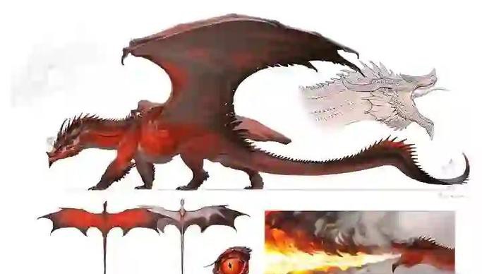 紅龍魚的品種分類圖