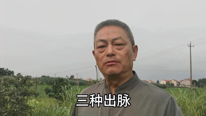 有沒有更多龍脈吉相的圖片？