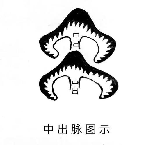 有沒有更多龍脈吉相的圖片？