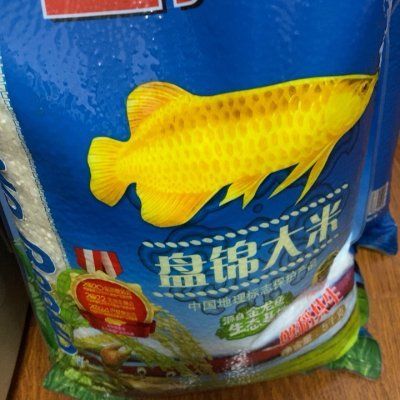 金龍魚15s（“金龍魚15s”可能是指金龍魚品牌下的一種特定產品）