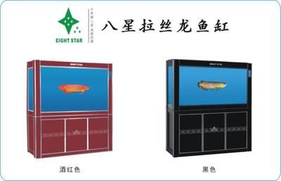 龍魚拉絲的原因:龍魚出現拉絲的情況是由于多種原因引起的,可能是多種原因引起的