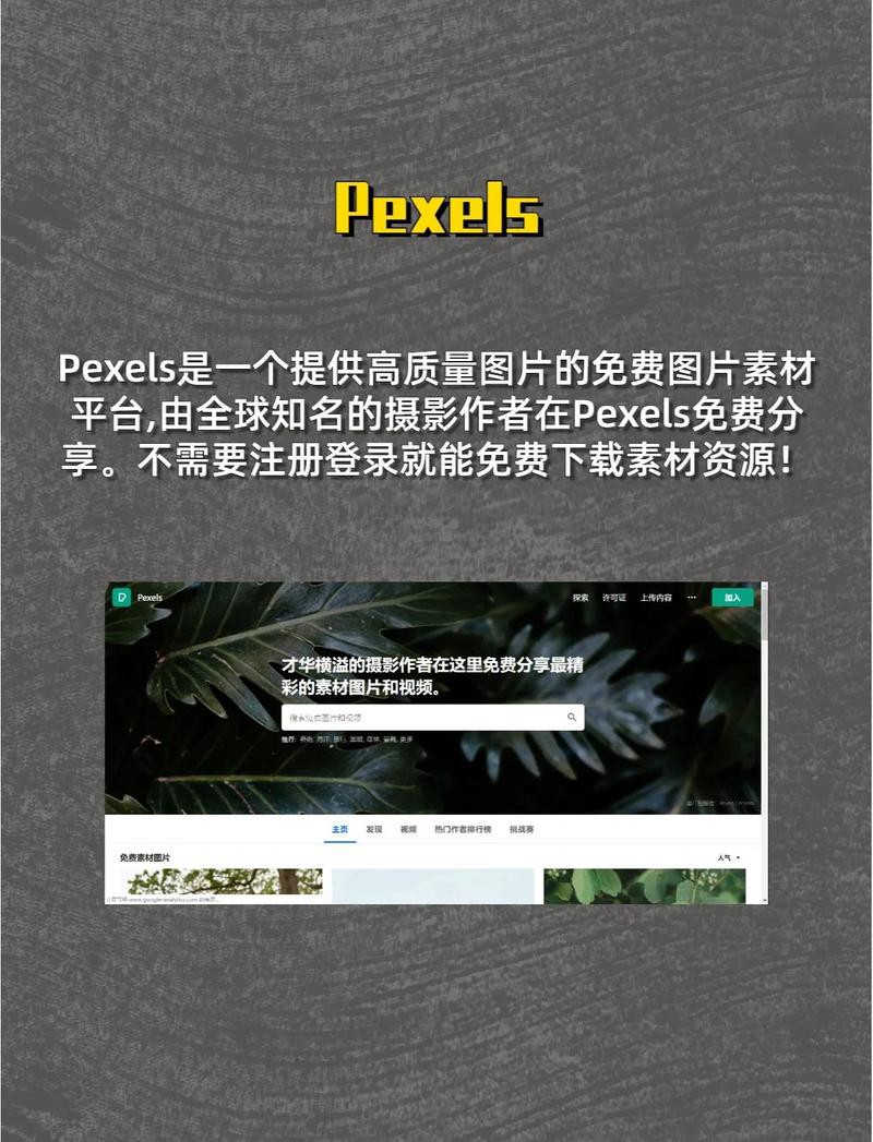 這些素材網(wǎng)站是否收費(fèi)？
