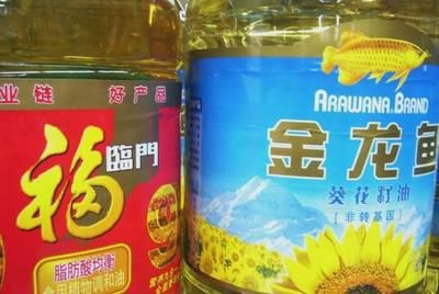 金龍魚一千萬一噸，金龍魚一千萬一噸可能是對金龍魚價格的一種誤解