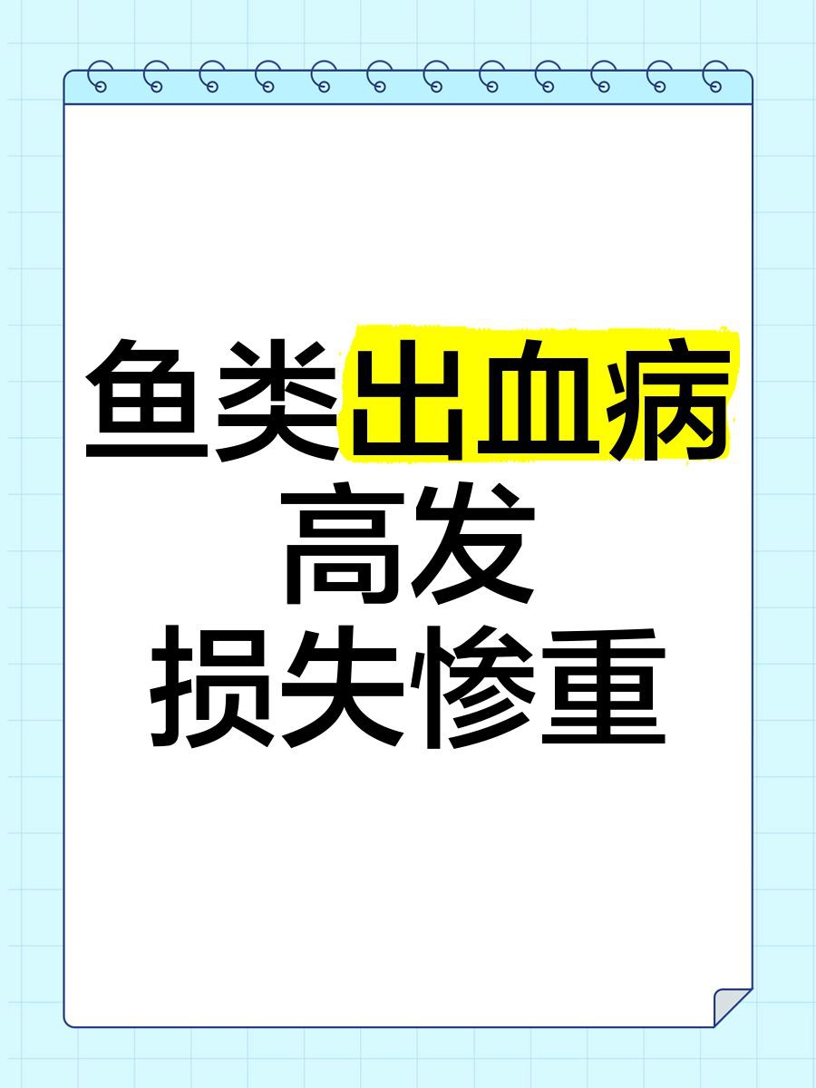 魚身上有血絲是什么原因