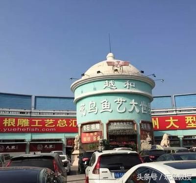 廣州龍魚巿場地址？（廣州龍魚之家水族館特色品種天龍龍魚市場第一街酒吧）