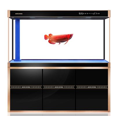 辦公室養(yǎng)龍魚風(fēng)水好嗎：辦公室養(yǎng)龍魚是否合適，以及這對風(fēng)水有何影響，可以從多方面考慮