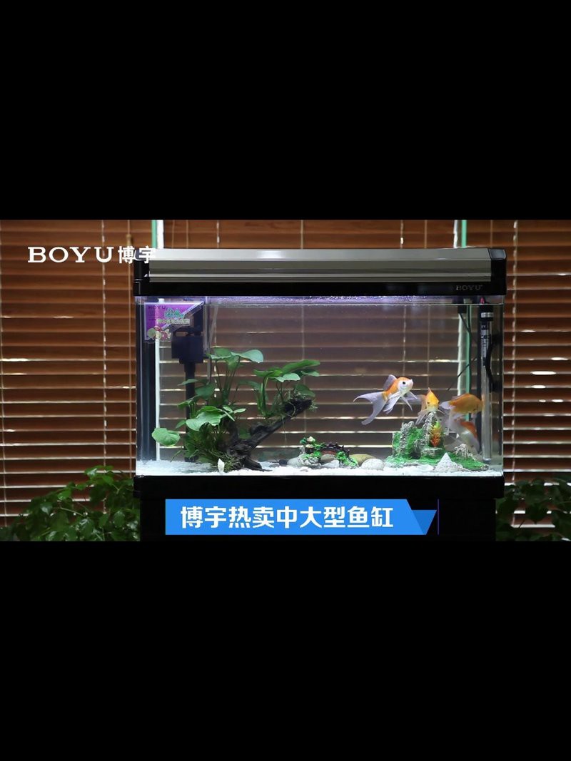 博宇和漢霸的龍魚缸性價(jià)比如何？