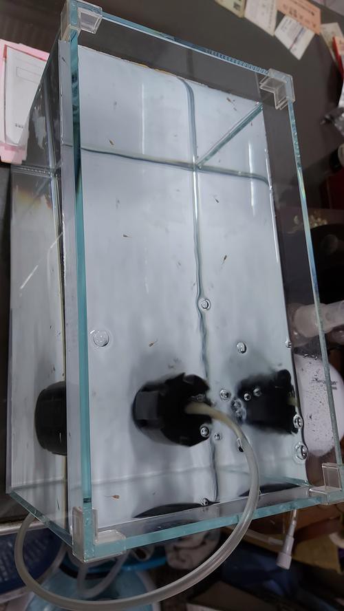 博宇和漢霸的龍魚缸性價(jià)比如何？