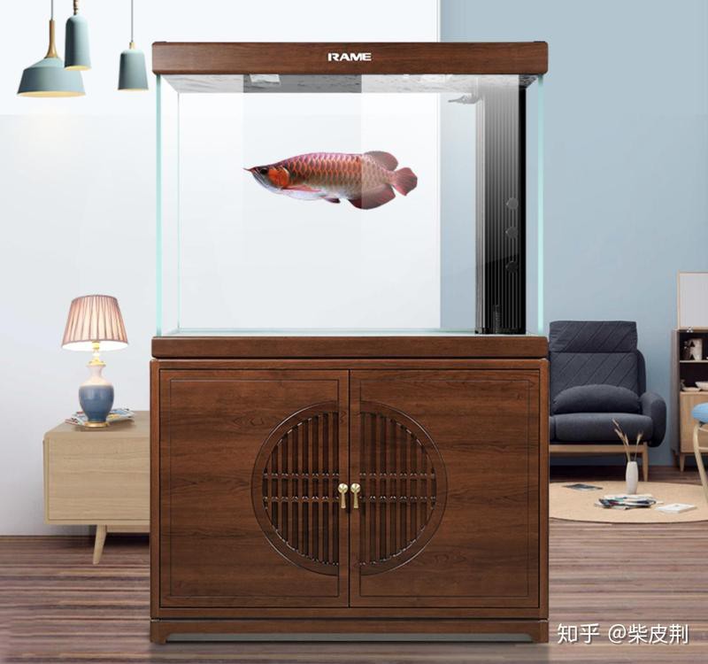 博宇和漢霸的龍魚缸性價(jià)比如何？