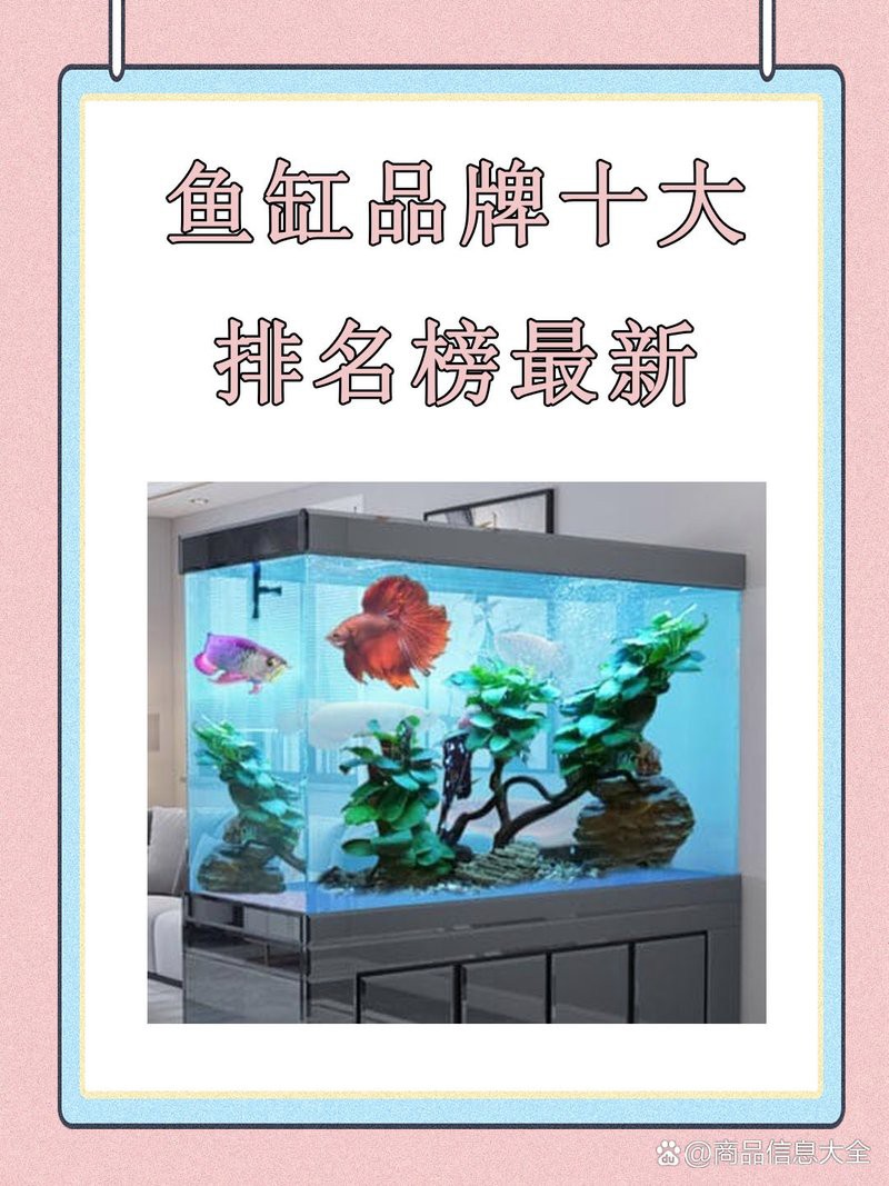 博宇和漢霸的龍魚缸性價(jià)比如何？